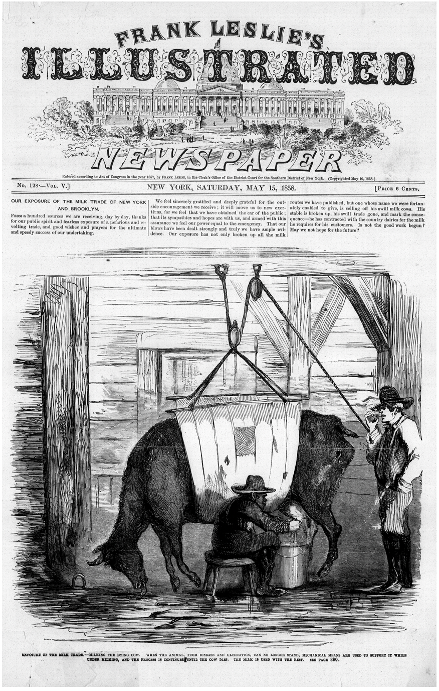 人間と動物の関係性から読み解くアメリカ都市発展の歴史