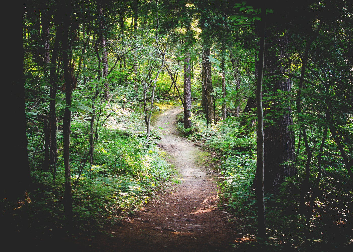 Solving the Cosmic Riddle: The Road Less Traveled, by Deepak Chopra