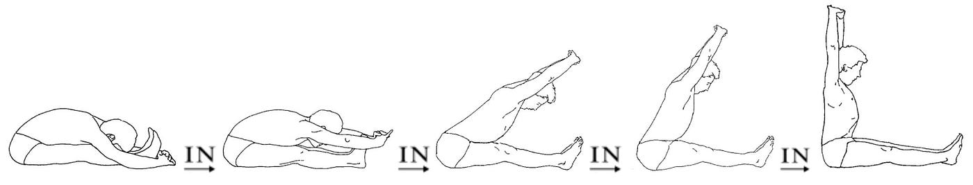Postural Practice Pointers — 15 — Forward Bending and Prāṇa to Apāna Breathing