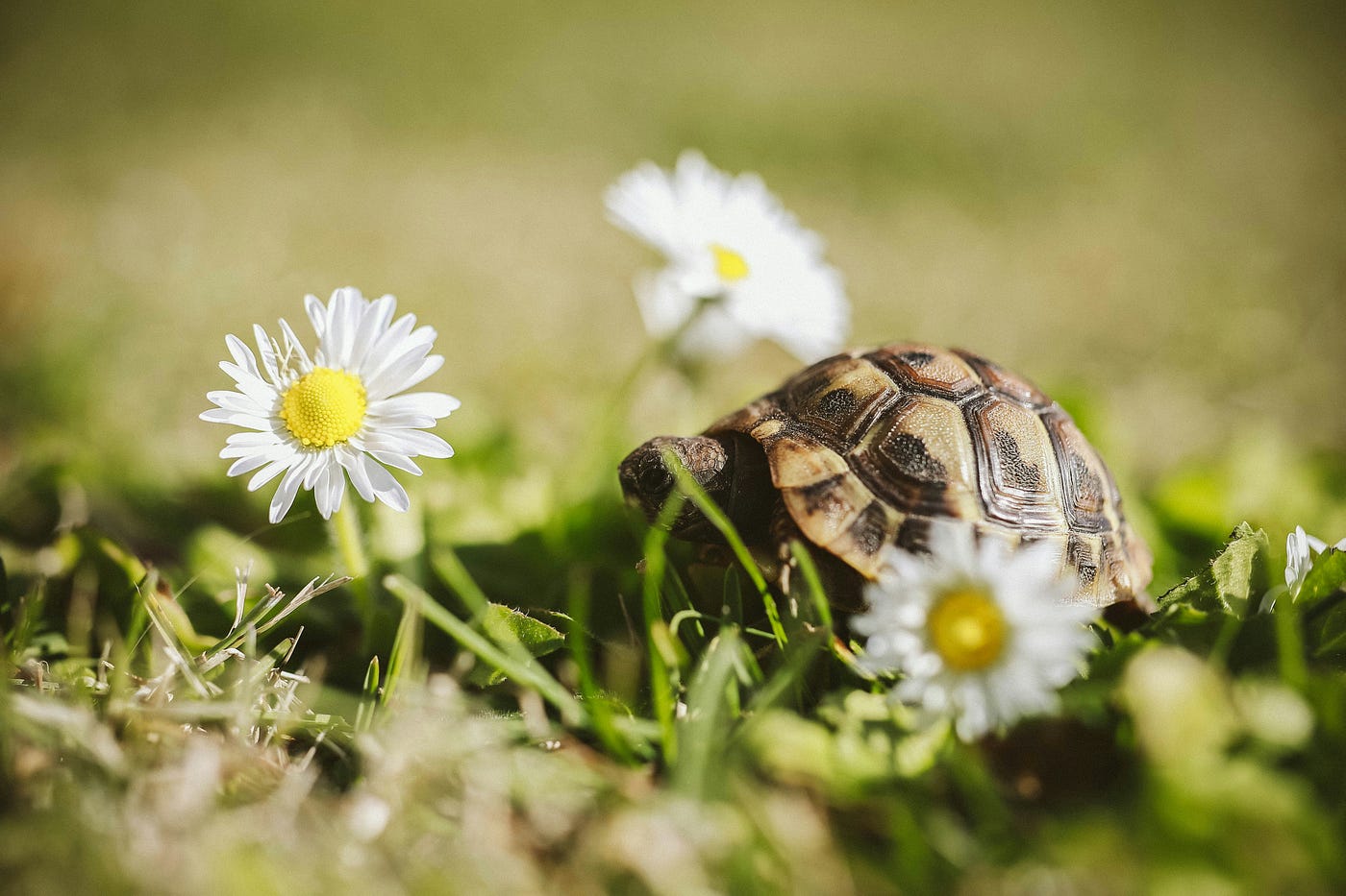Photo by Sindy Strife on Unsplash