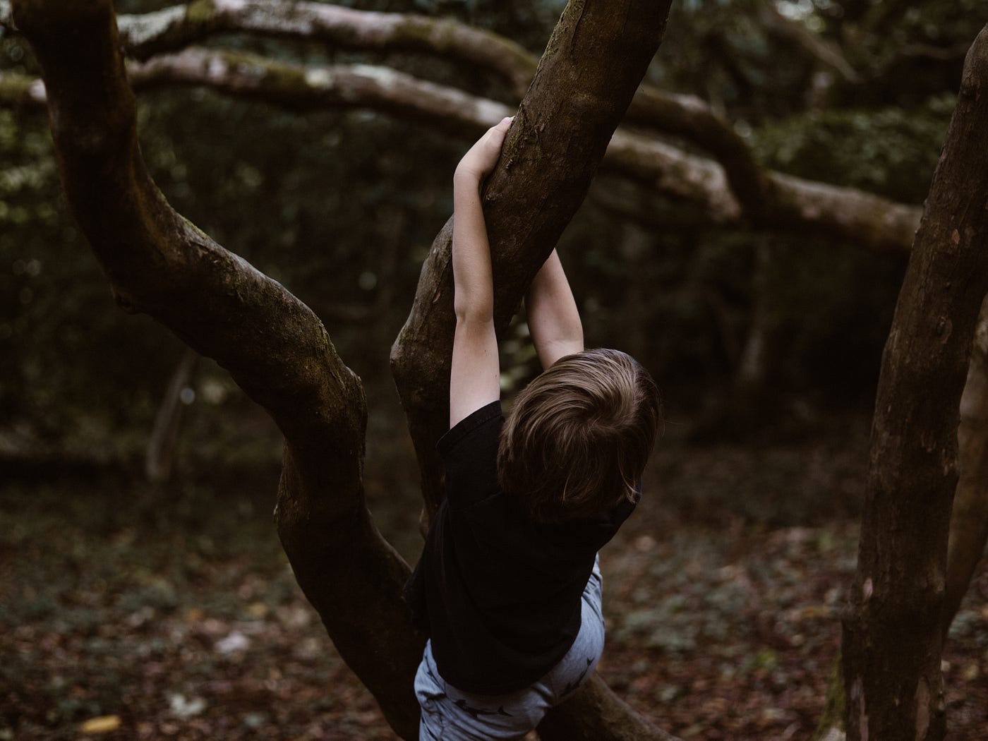 Photo by Annie Spratt on Unsplash