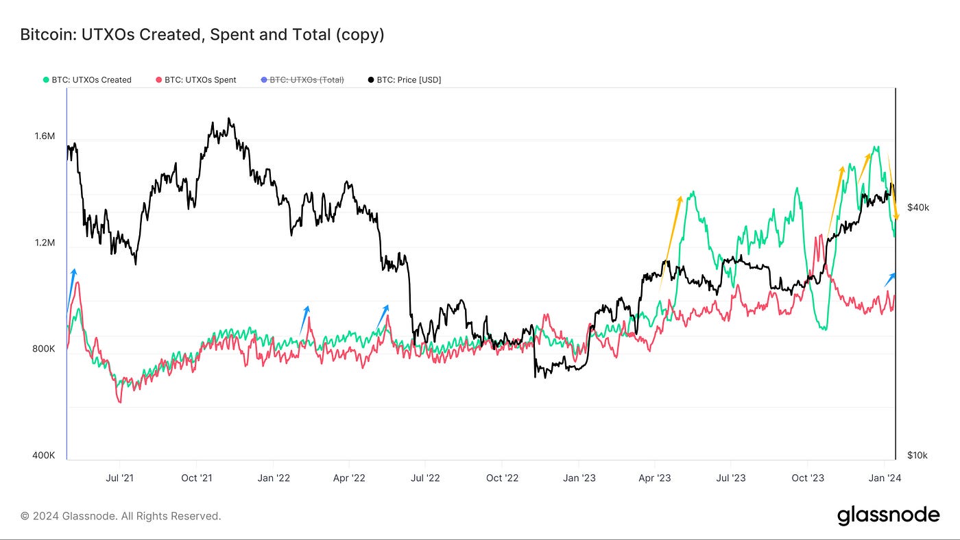灼灼韶华,风禾尽起｜WTR 1.15