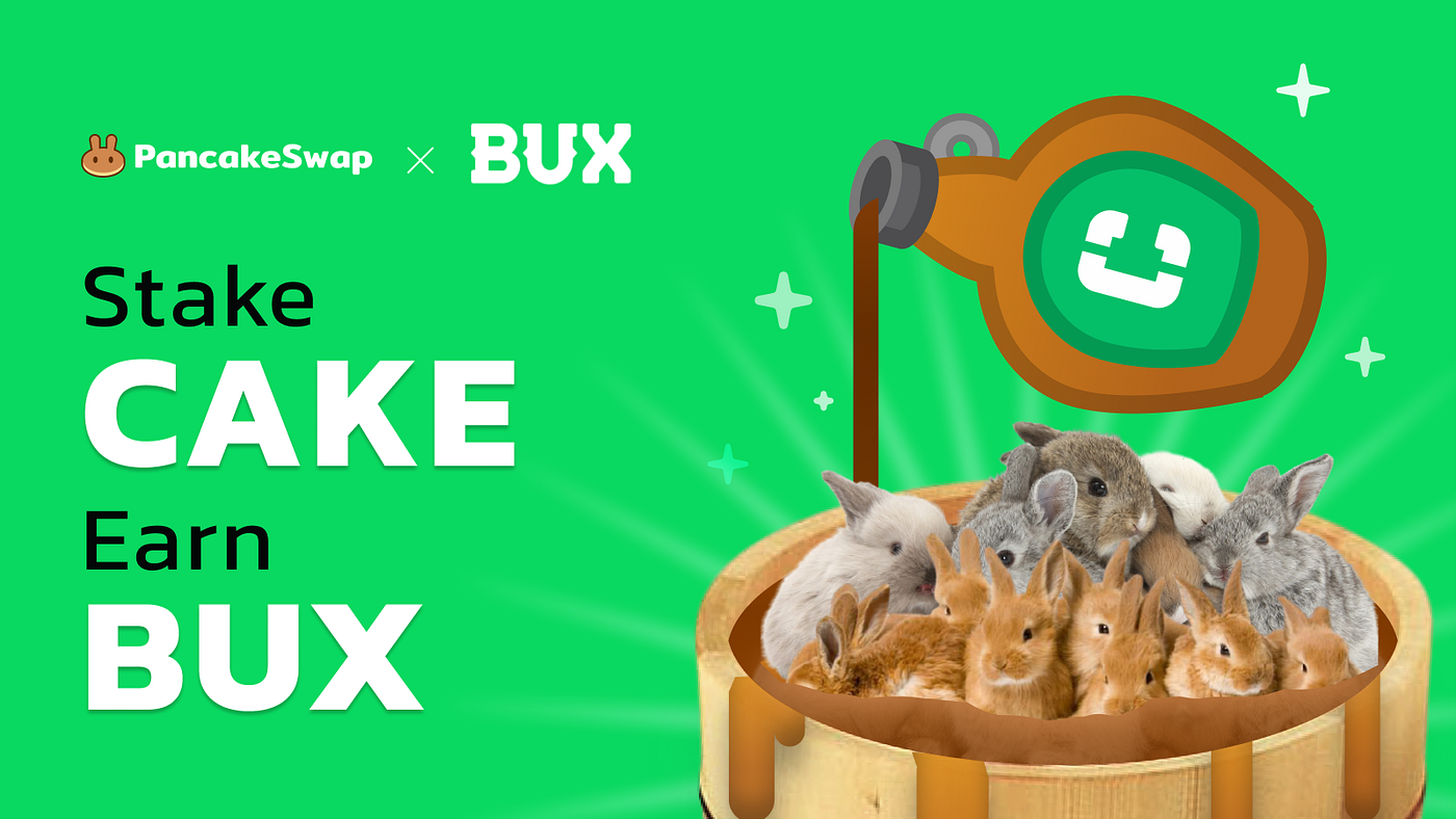 PancakeSwap welcomes BUX Token to the Syrup Pool! | by PancakeSwap | Medium