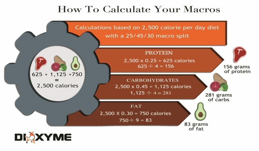 Everything You Need to Know About Counting Your Macros - Muscle & Fitness