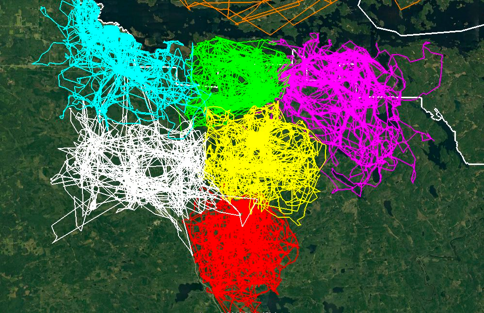 Wolf Pack Territories in Voyageurs National Park