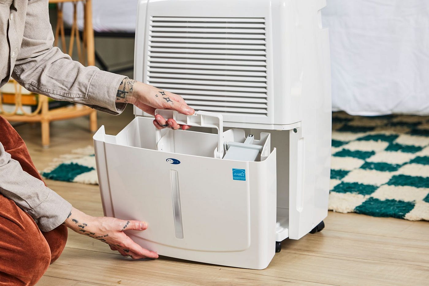 Top 5 Dehumidifiers for Your Home: Keep Mold and Moisture Away
