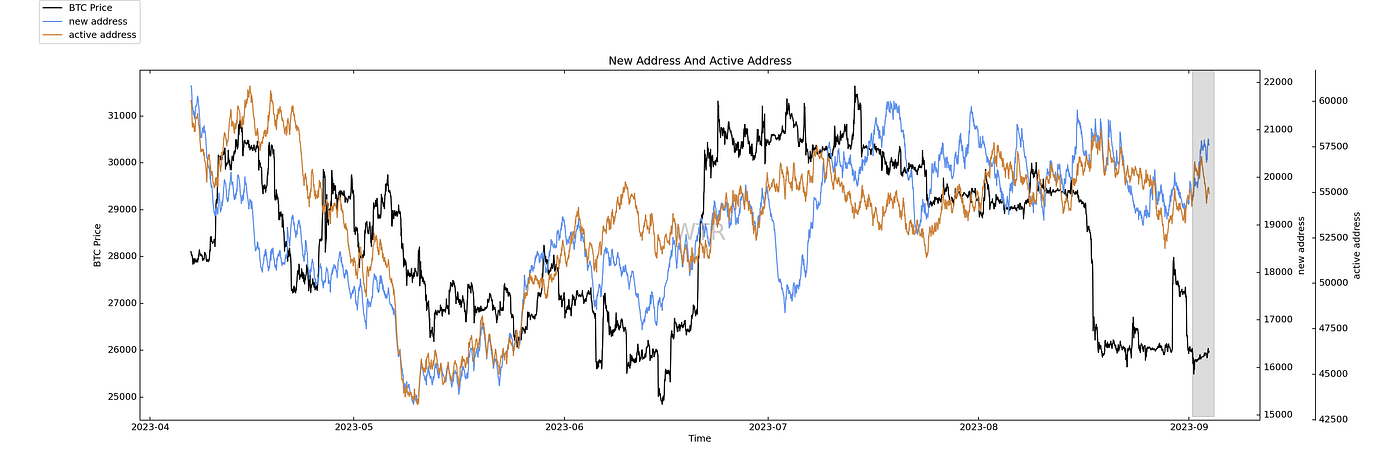 中庭淡月，白露洗空｜WTR 9.04