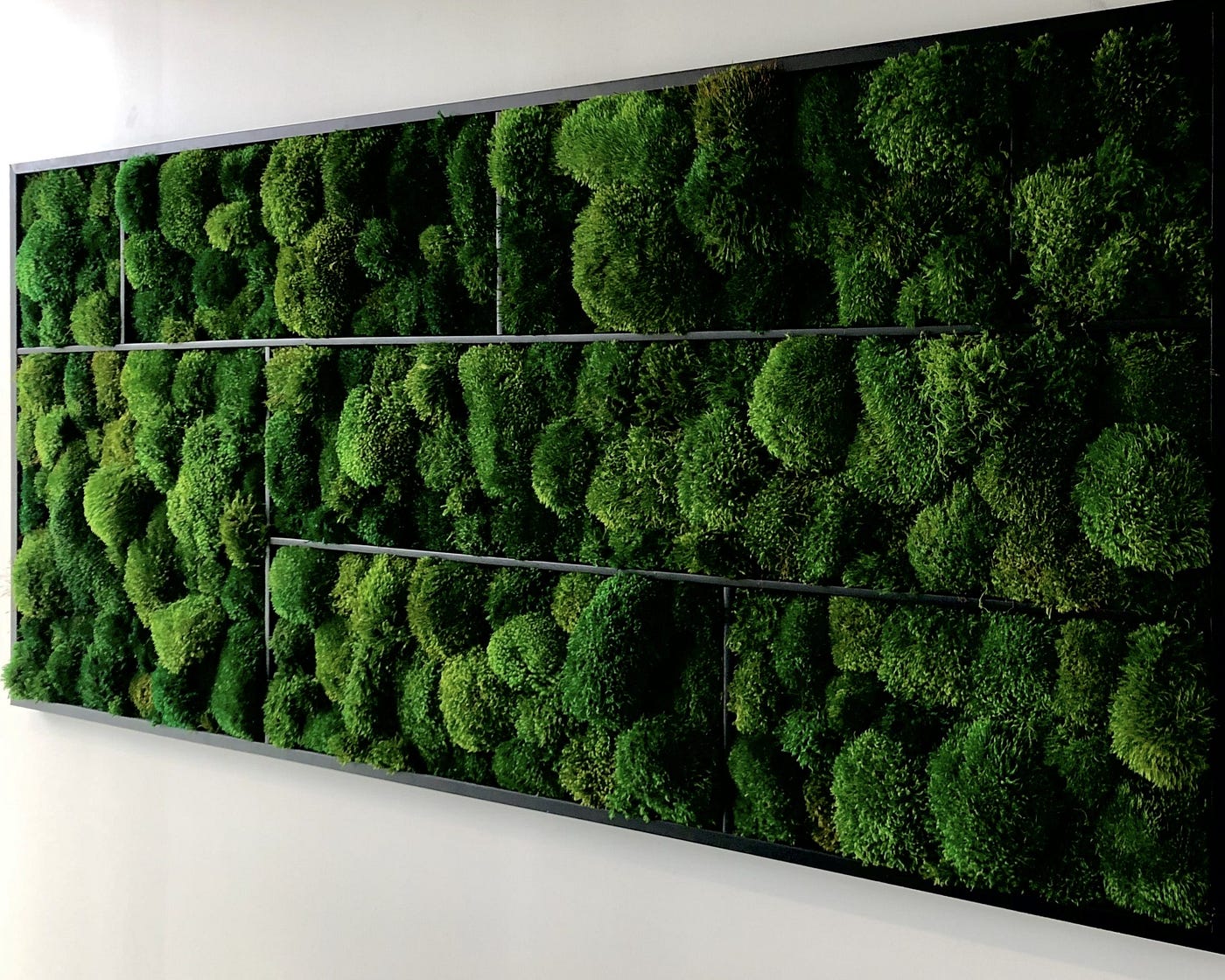 Ensuring the Lifespan of Your Indoor Moss Wall - Terra Biophilic