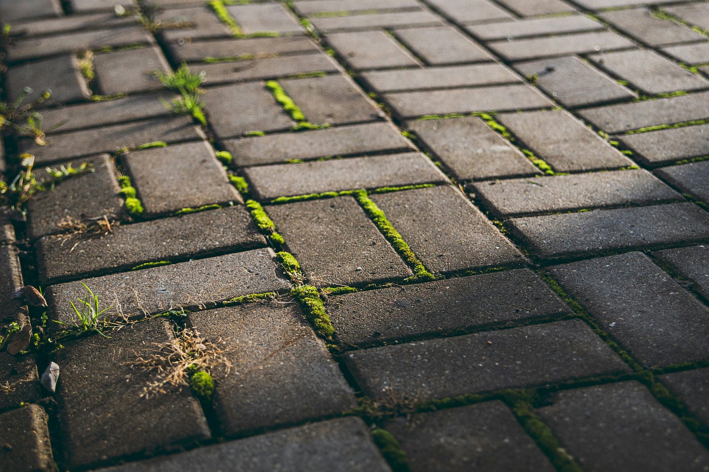 Photo by maks_d on Unsplash