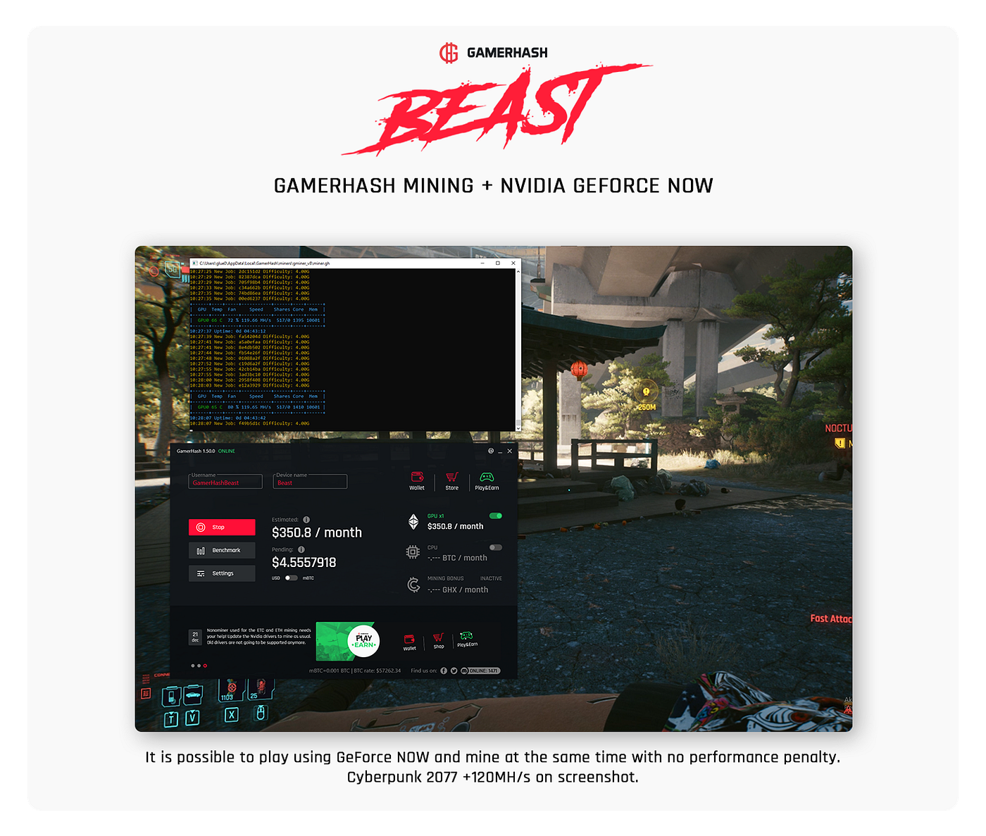 GamerHash Beast experiment. Can a PRO gamer finance his/her PC with crypto  mining? | by Michal Adamski | GamerHash | Medium