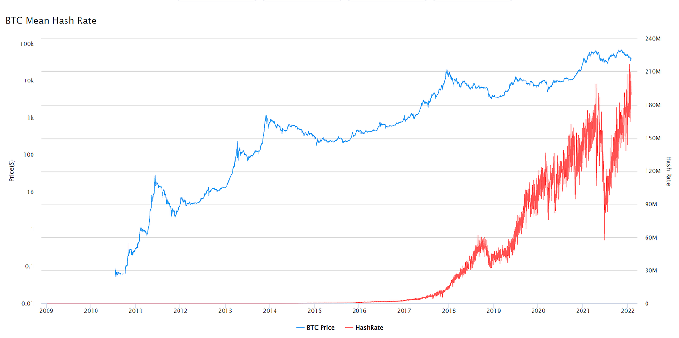 Pensamento Bitcoin VS Pensamento Fiat | by Bitcoinizer Wizard 🧙🏼‍♂️🪄 |  Medium
