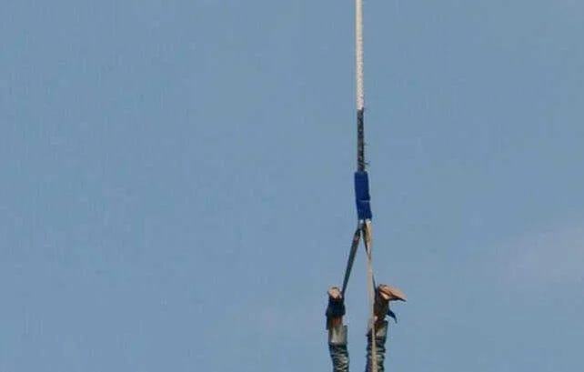 Un homme obèse meurt dans un accident de saut à l’élastique ? Attention aux fake news