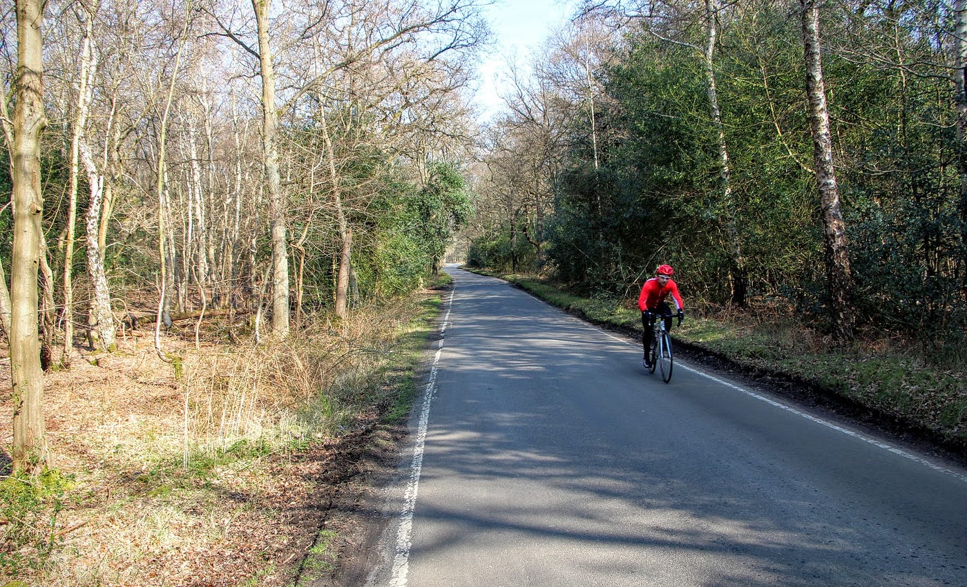 Epping Forest Cycling: Biking A Forgotten London Paradise | by John  Wachunas@Spinlister | Medium