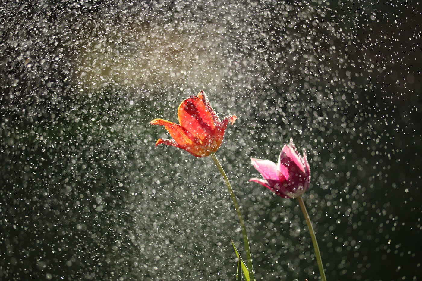 Life Lessons From a Rainy Day | Medium