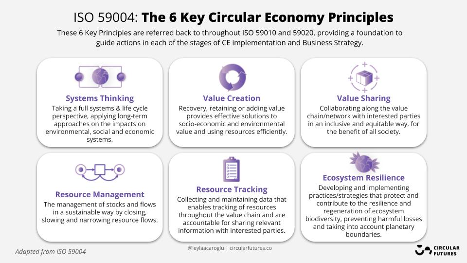 The 6 Principles of the Circular Economy | by Leyla Acaroglu