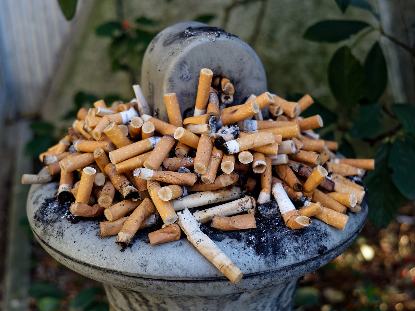 cigarette revolution 42 Cigarette 42 Revolution 188 HOT PASSES at Key West!