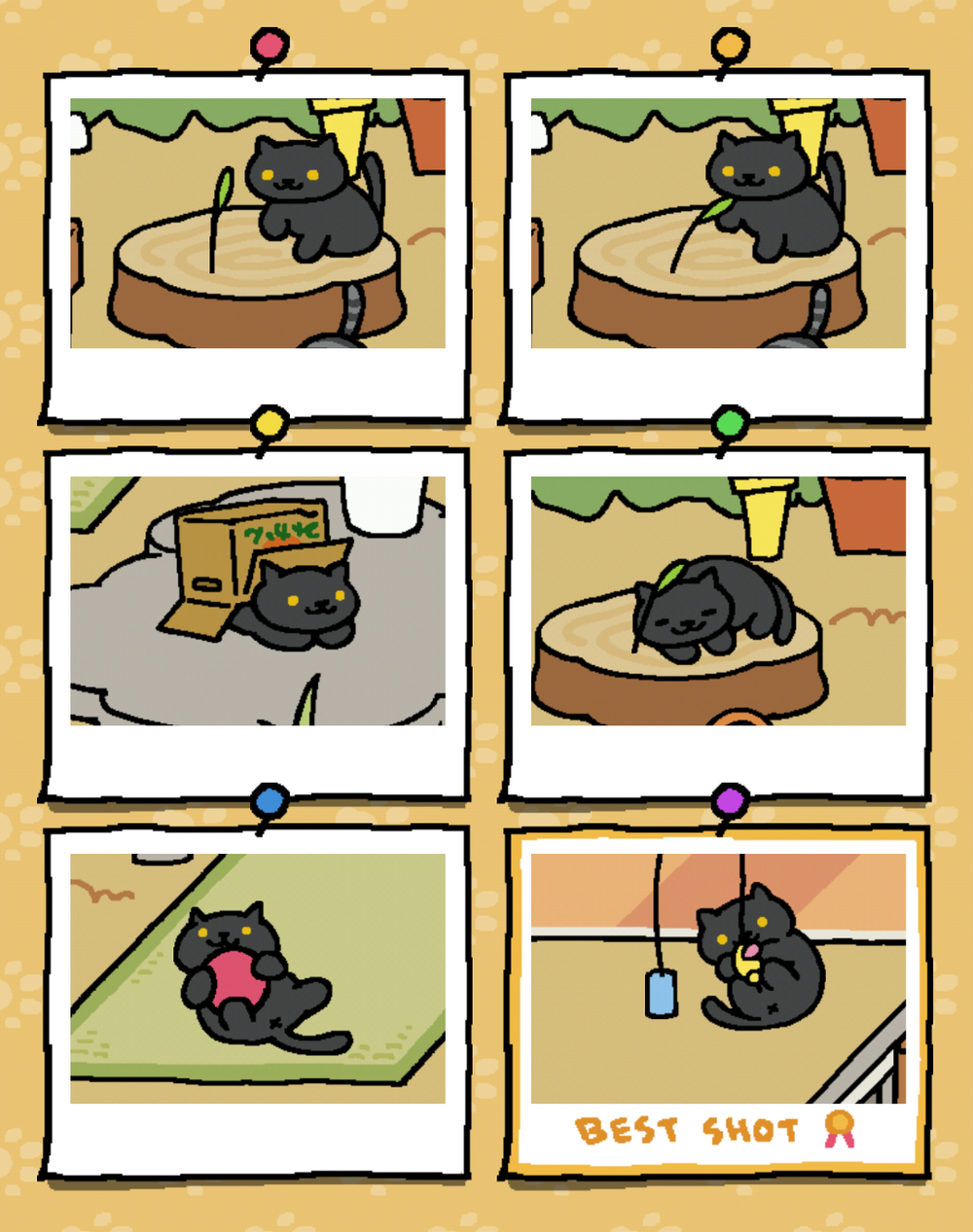 Games: Neko Atsume, um kitty collector no celular - Finding Neverland