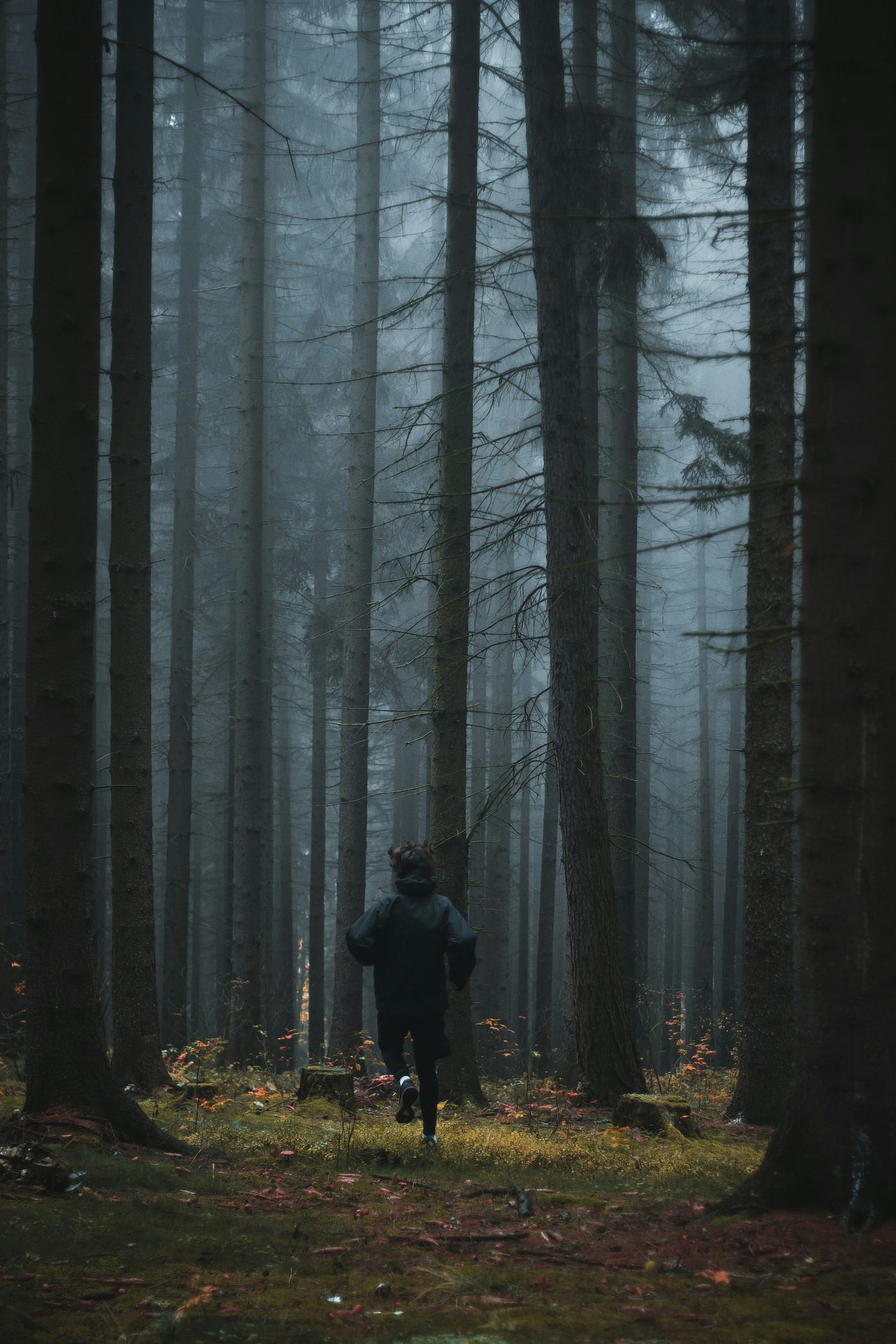 Photo by Jakub Kriz on Unsplash