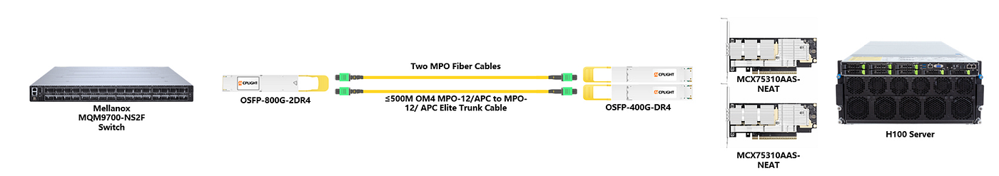 800G 2×DR4 vs. 800G 2×FR4: Which 800G Optical Module Is Best for Your Data Center?