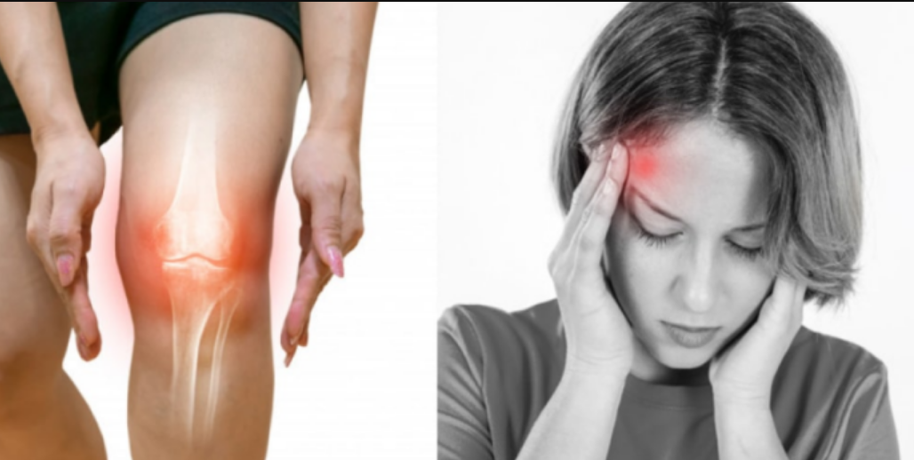 Green Farm CBD Gummies A Natural Solution For Eliminating Body Pain! | by Green  Farm CBD Gummies | Dec, 2023 | Medium