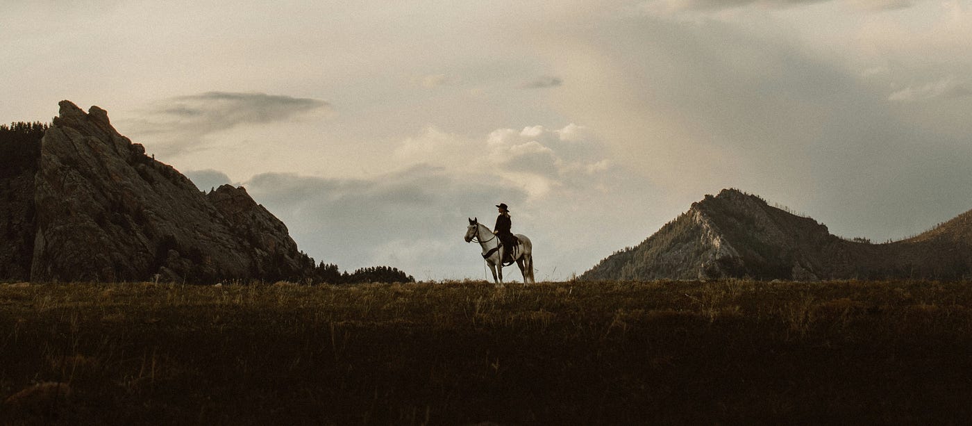 Photo by Taylor Brandon on Unsplash