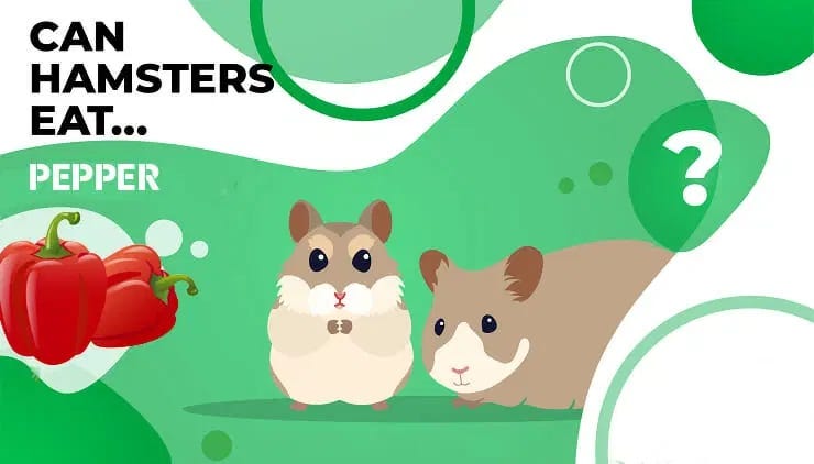 Can Hamsters Safely Consume Potatoes: A Comprehensive Guide