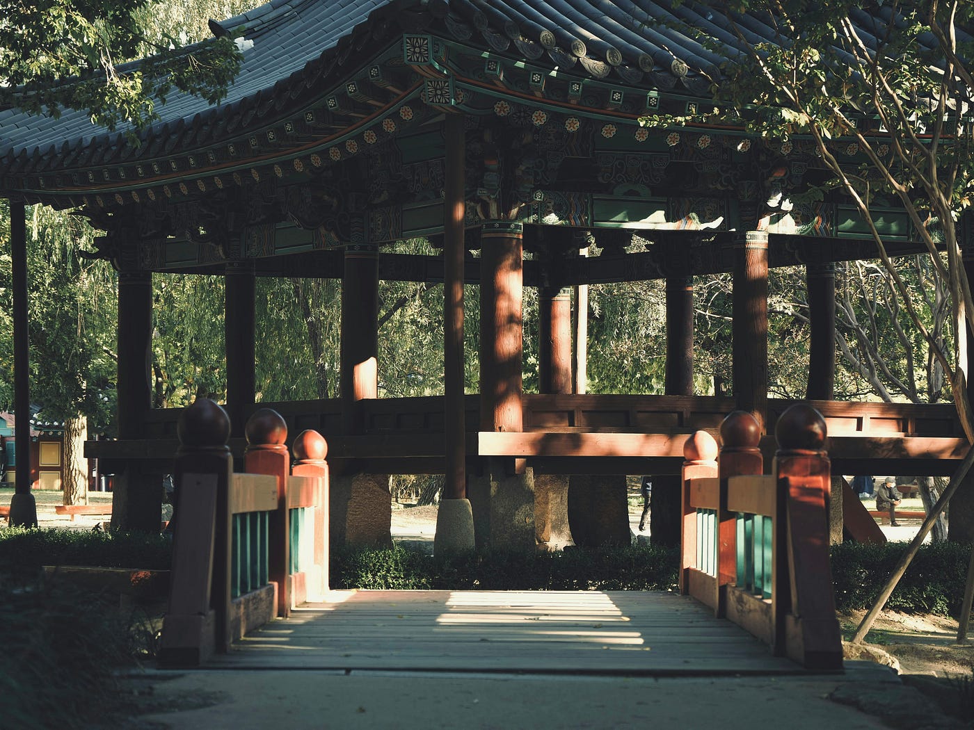 Photo by Clark Gu on Unsplash