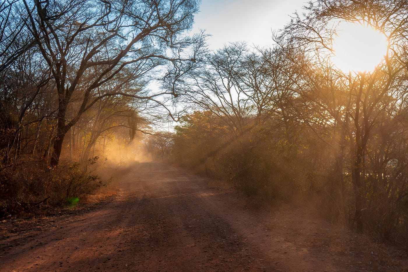 Photo by Ajeet Panesar on Unsplash