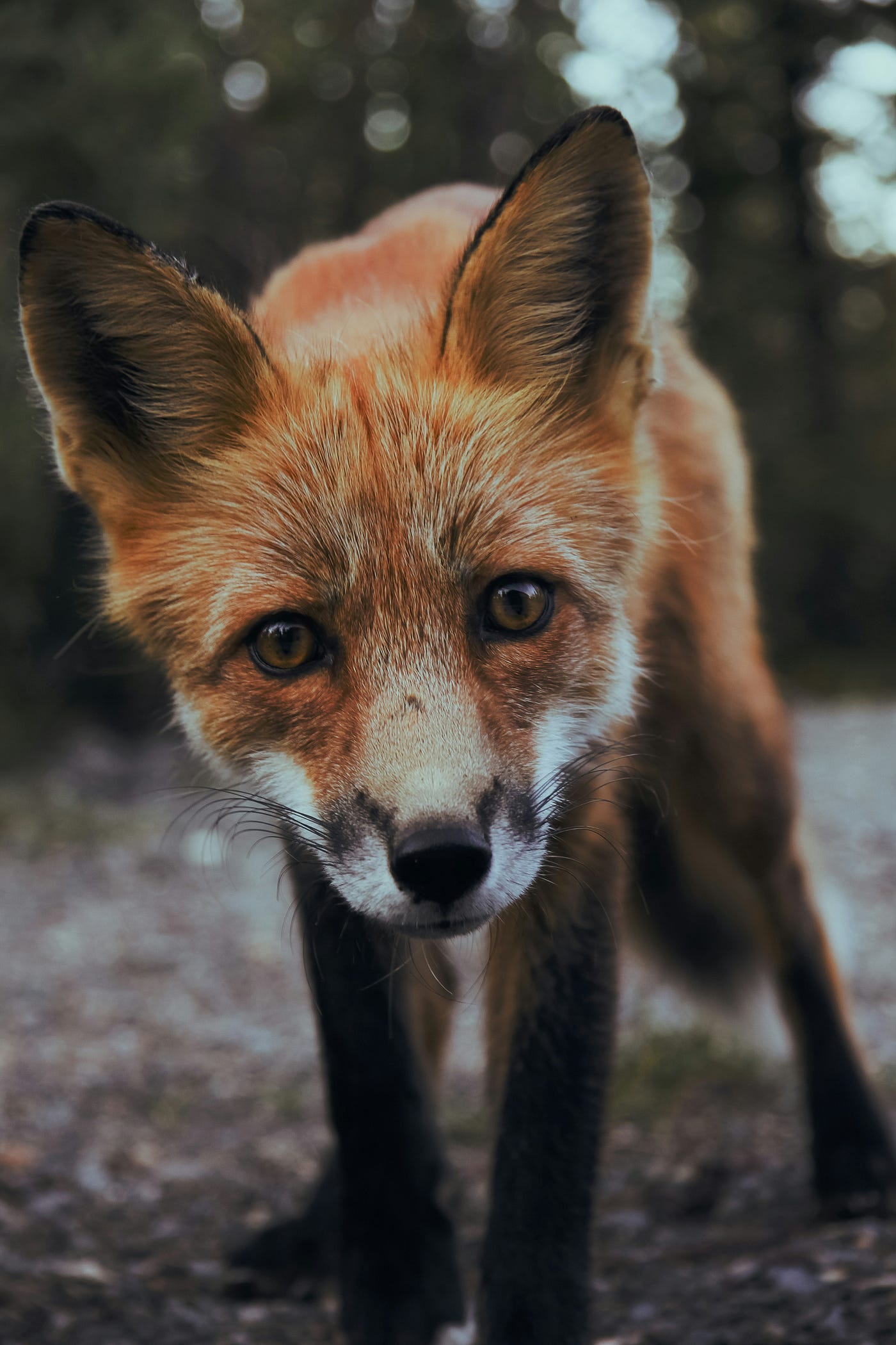 Photo by Sunguk Kim on Unsplash