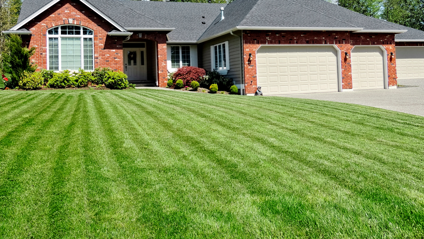 The Advantages of Keeping a Lawn at Home by zohaib seo service