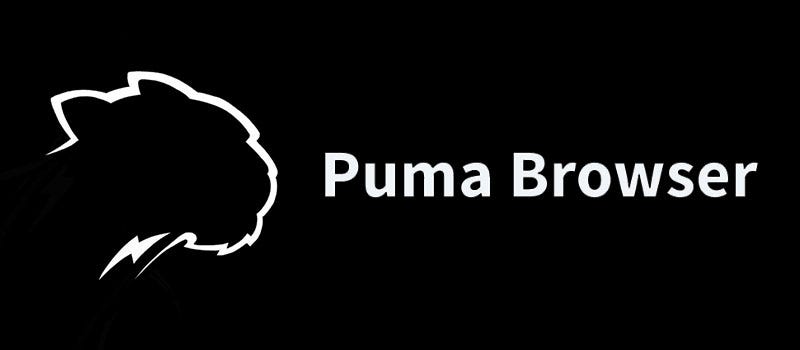 Meet 'Puma Browser,' a Browser with Built-in Micropayments | by Berkeley  Blockchain Xcelerator | Berkeley Blockchain Xcelerator | Medium