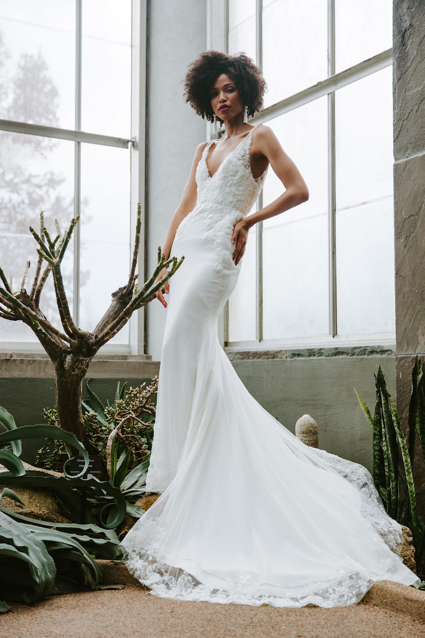 Bridal Bliss: WomanWonderFashion's Guide to Wedding Dress Trends