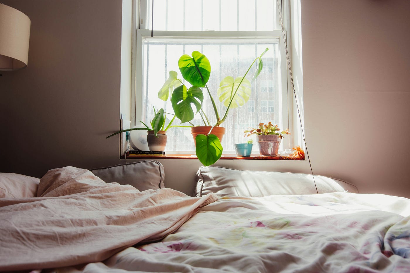 Photo by Lucy Mui on Unsplash