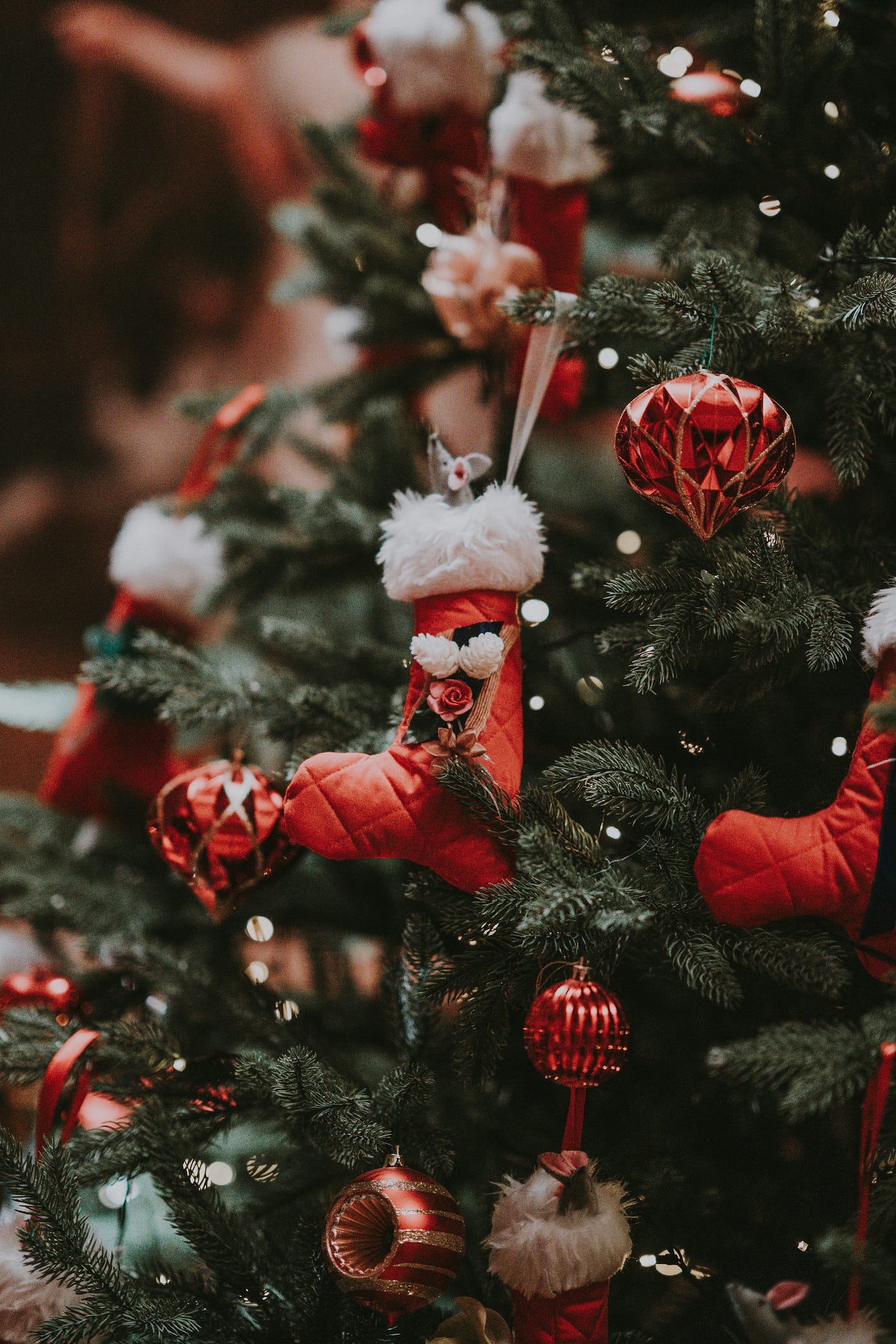 Photo by Annie Spratt on Unsplash