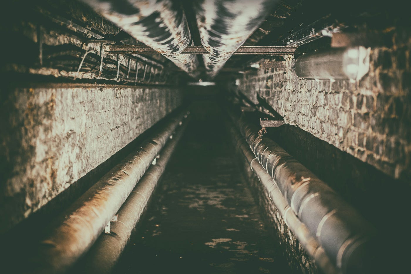 Photo by Denny Müller on Unsplash