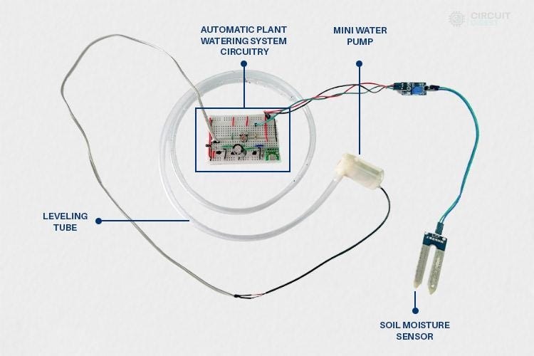 Building an Automatic Plant Watering System Without Arduino | by Circuit  Digest | Medium