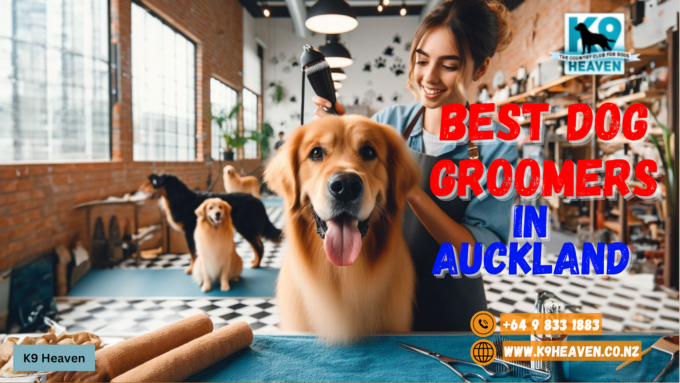K9 dog groomers deals