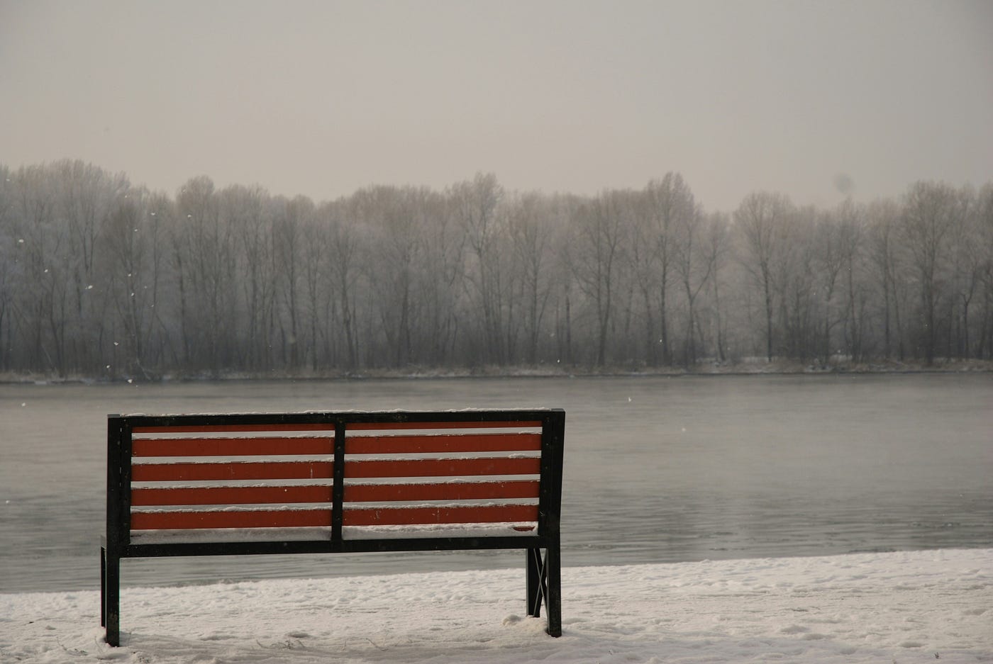 Photo by Liu on Unsplash