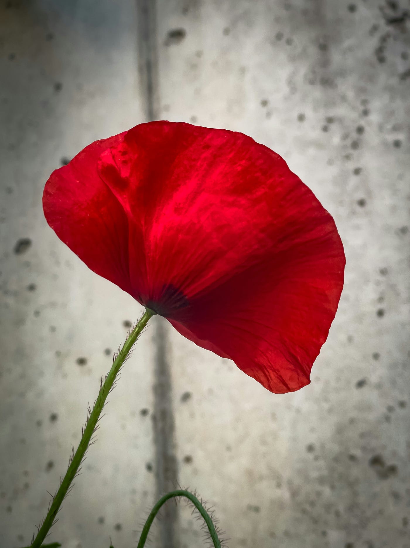 Photo by Bernd 📷 Dittrich on Unsplash