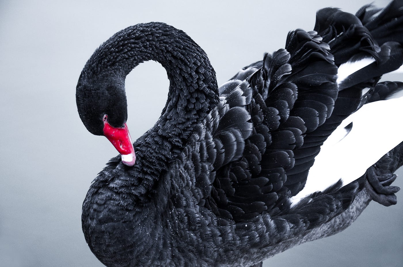 How the SVB Collapse Could Be Bullish for Bitcoin | by Florent Koenig |  DataDrivenInvestor
