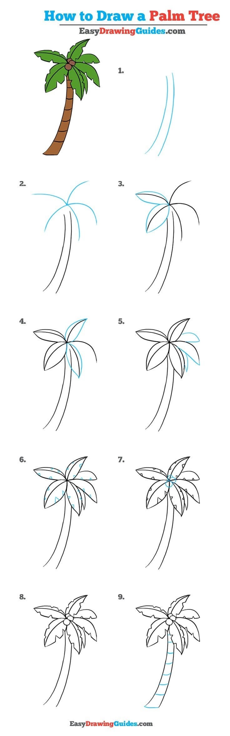 How To Draw A Palm Tree Step By Step