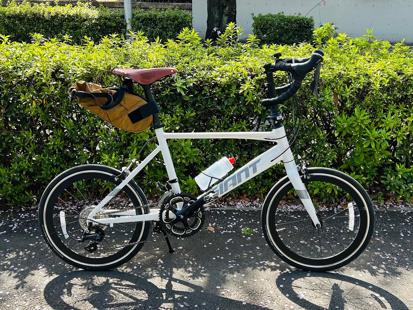 GIANT IDIOM 1を買って1年経った — 実際に使ってみた感想 | by