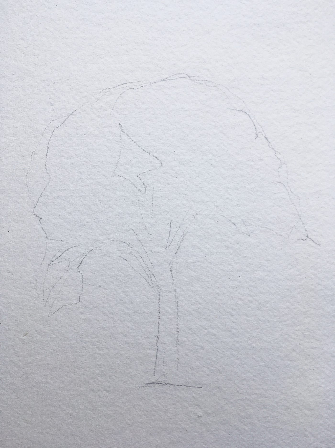 How To Paint A Tree In Watercolors, by Christopher P Jones, The Startup