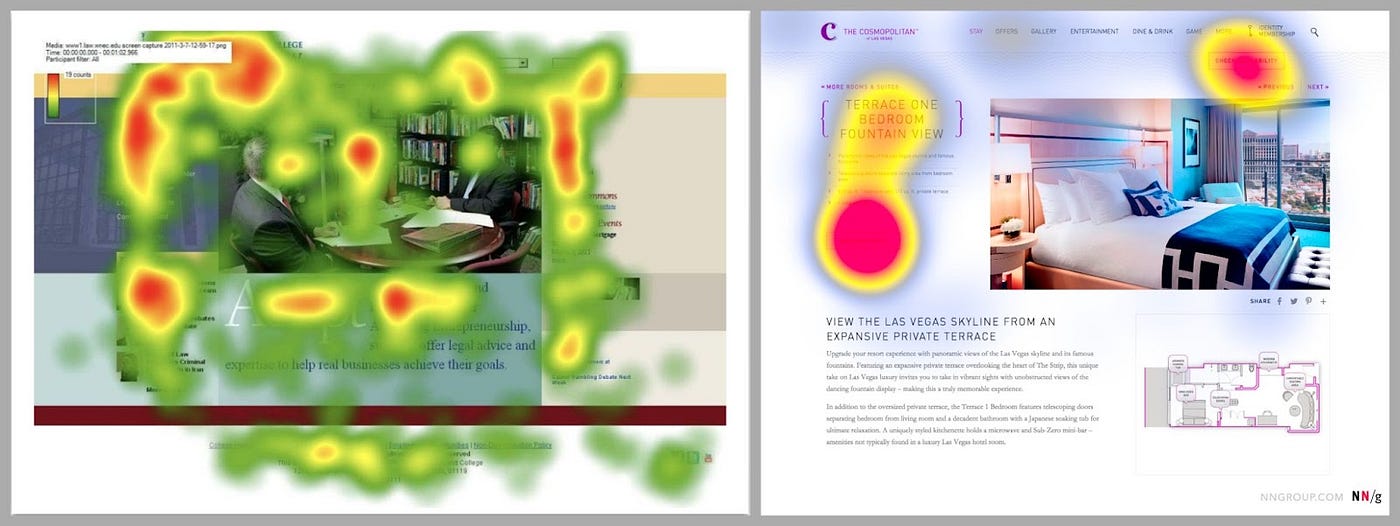 Visual Perception: how does our brain shape our perception of