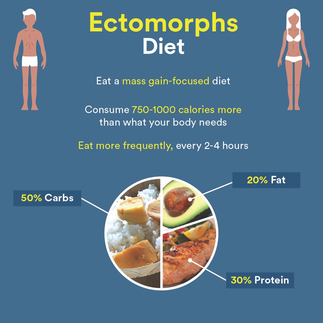 Ectomorph: Body Type Characteristics & Diet Plans - Tua Saúde
