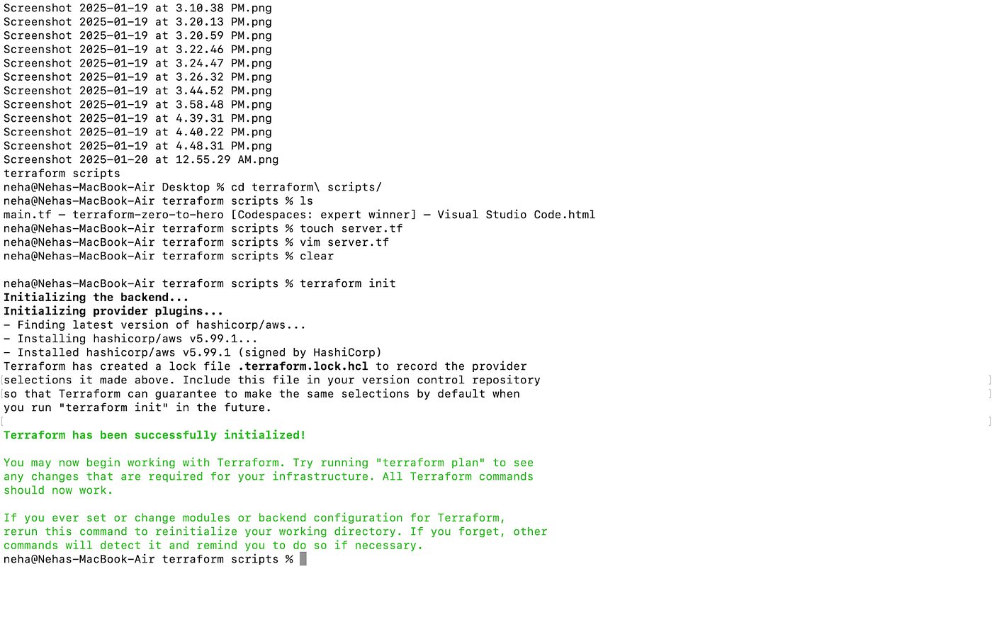 Deploy a Basic Web Server on AWS with Terraform: Step-by-Step
