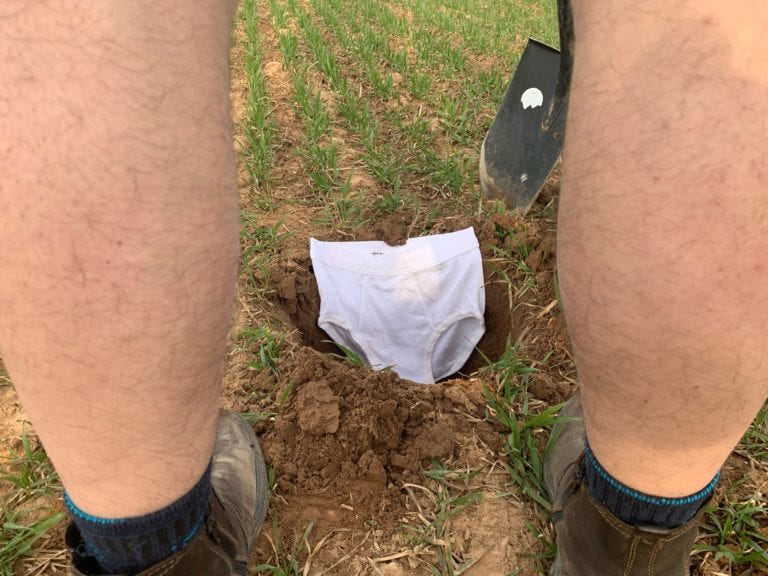 Soil Your Undies' asks Pennsylvania to bury underwear to test soil - EHN