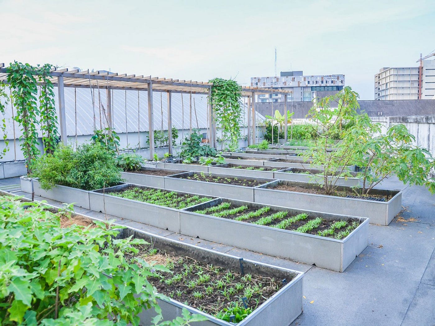 PopUp Garden Revolutionizes Vertical Garden Growth
