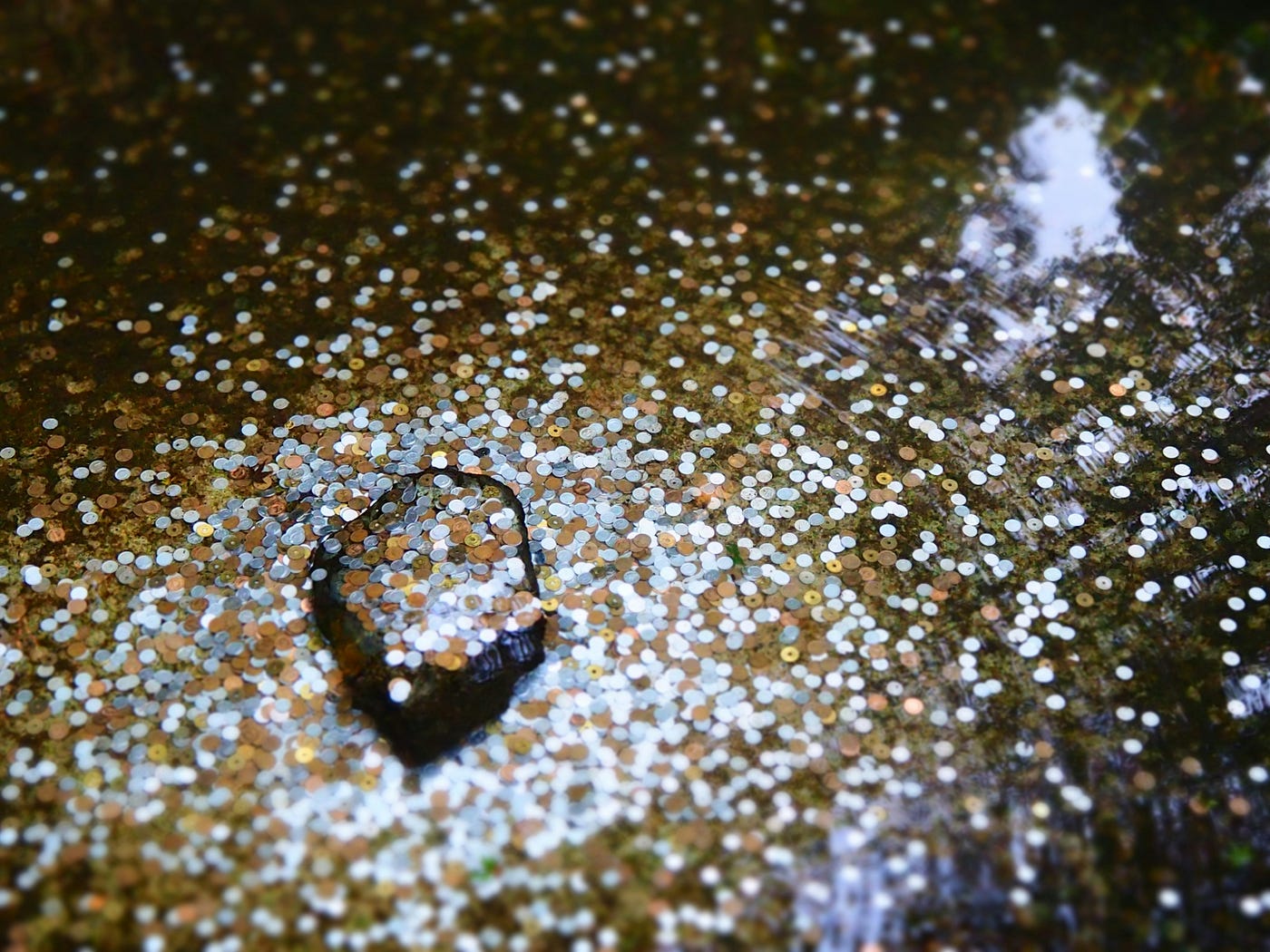 Photo by abigail low on Unsplash