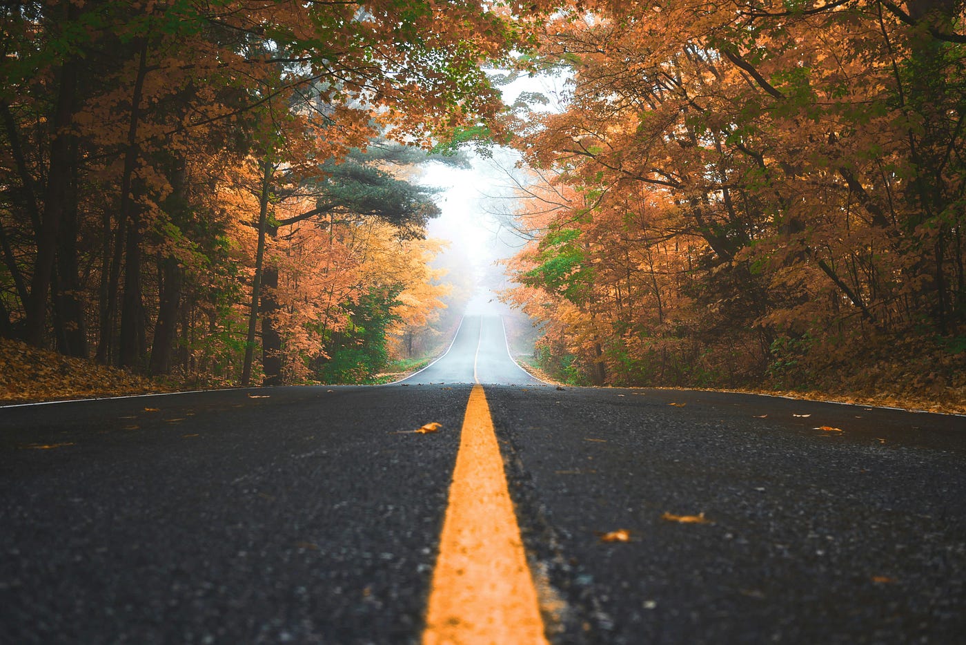 Photo by Patrick Tomasso on Unsplash